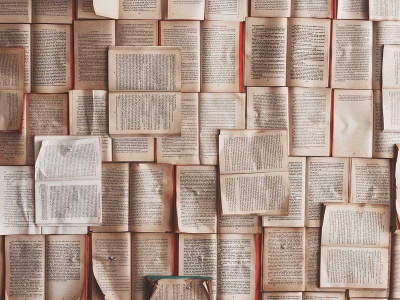 Außenanlagen – Referenzprojekt 6