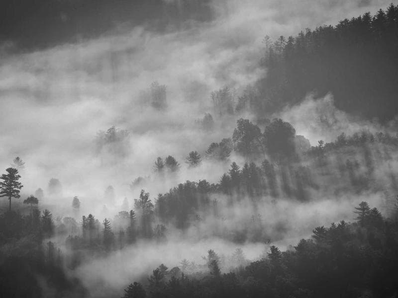 Baumfällung – Vorher/Nachher 1 – Nachher