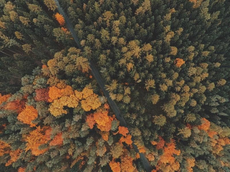 Dachreinigung – Vorher/Nachher 1 – Nachher